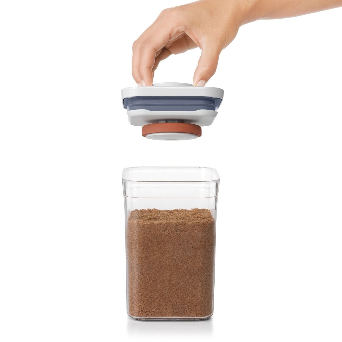 pop-brown-sugar-keeper-a0 gg_11235700_4_-v2.jpg