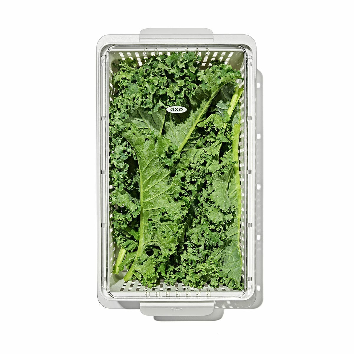 produce-saver-medium-bin-t0 gg_sw_produce-saver-medium_05.jpg