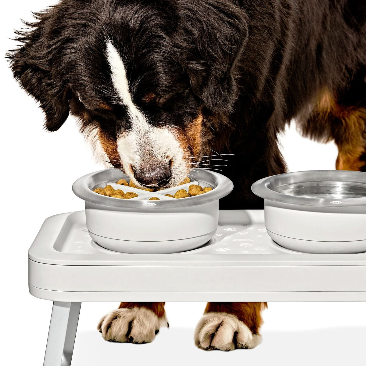 oxo-pet-easy-clean-slow-feeder-medium-2-cups-489-ml-h0 pet_slow-feeder-medium-large_pdp_02_1.jpeg
